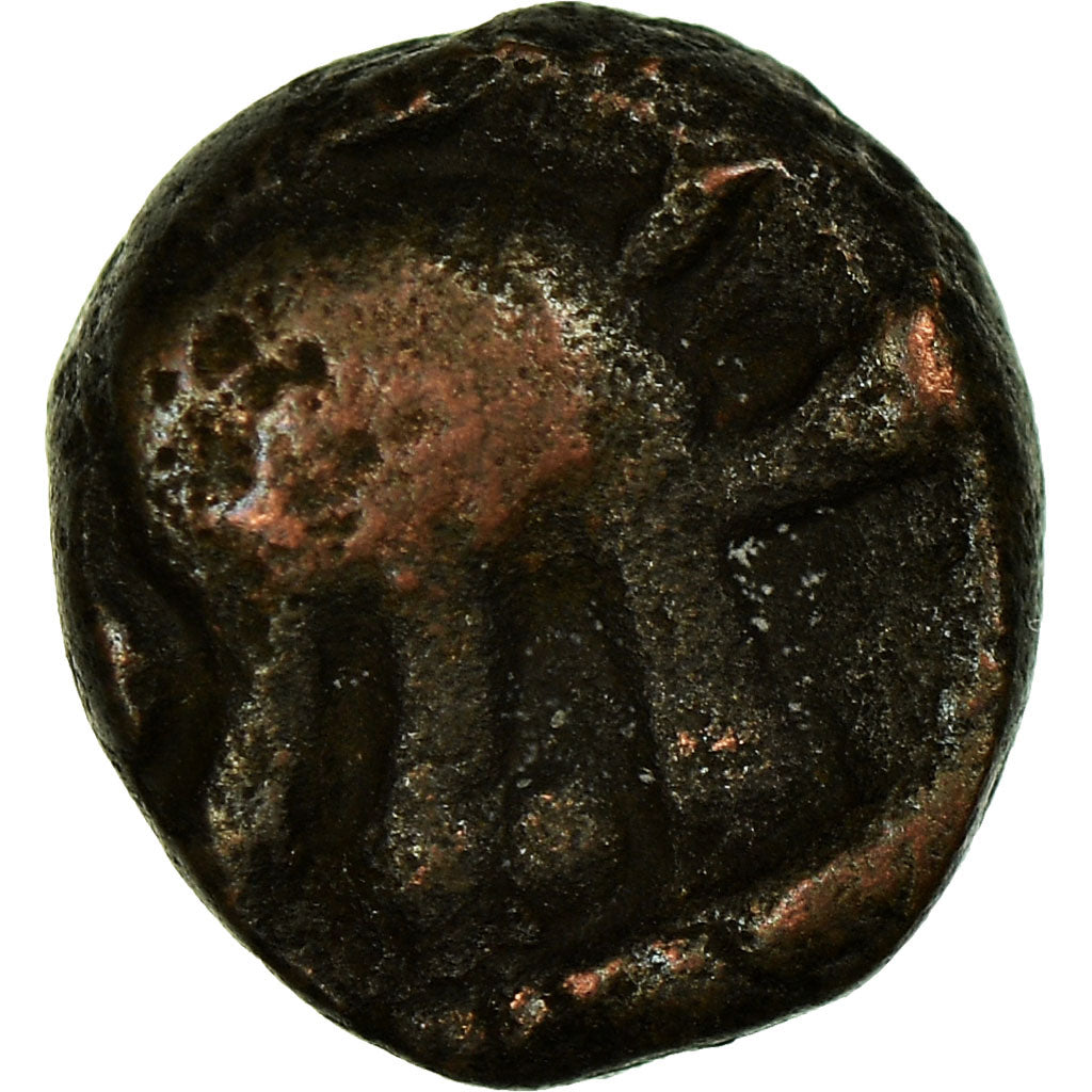 Monnaie, INDIA-INDEPENDENT KINGDOMS, MYSORE, 1/2 Kasu, 1700-1750, TB+, Cuivre