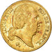 Monnaie, France, Louis XVIII, Louis XVIII, 20 Francs, 1824, Paris, TTB, Or