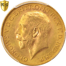 Munten, Zuid Afrika, George V, Sovereign, 1928, PCGS, MS65, FDC, Goud, KM:21