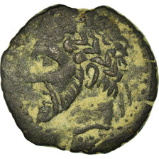 Münze, Numidia (Kingdom of), Massinissa or Micipsa, Bronze Æ, S+, Bronze