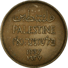 Coin, Palestine, Mil, 1937, EF(40-45), Bronze, KM:1