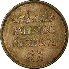 Coin, Palestine, Mil, 1946, AU(55-58), Bronze, KM:1