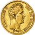 Münze, Frankreich, Charles X, 40 Francs, 1824, Paris, SS, Gold, KM:721.1