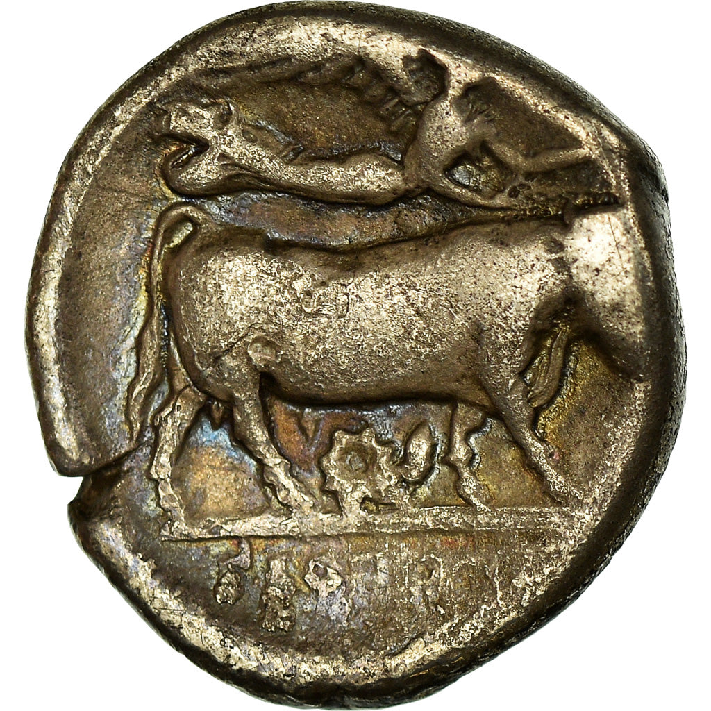 Monnaie, Campania, Didrachme, 320-300 BC, Neapolis, TB, Argent, HN Italy:571