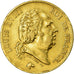 Monnaie, France, Louis XVIII, Louis XVIII, 40 Francs, 1818, Lille, TTB, Or