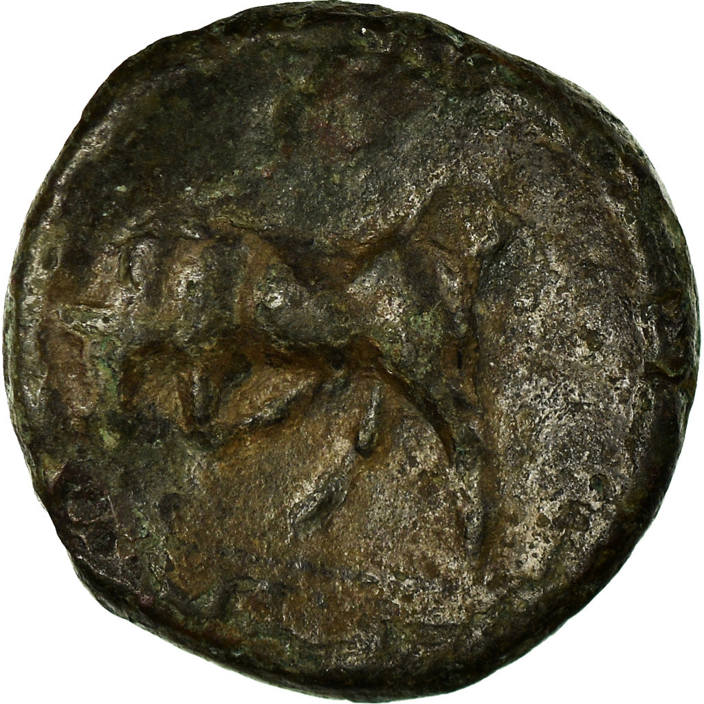 Coin, Sicily, Hieron II, Bronze Æ, 275-215 BC, Syracuse, VF(30-35), Bronze, SNG