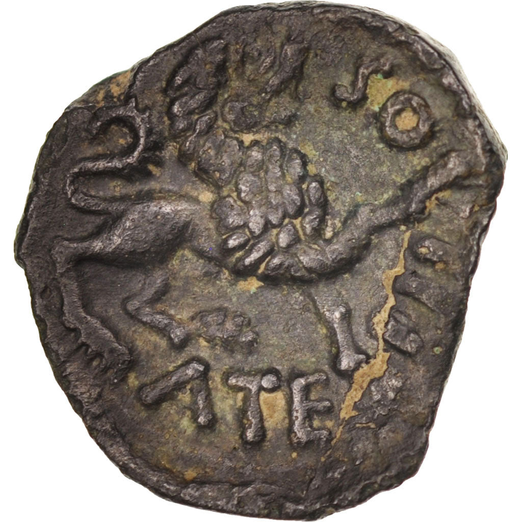 Carnutes, Bronze TOVTOBOCIO, AU(55-58), Bronze, Delestré:2597