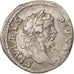 Septimius Severus, Denarius, Rome, EF(40-45), Silver, RIC:288