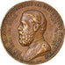 Germany, Medal, 500 Jahrige Feier, Der Stadt Heidelberg Wappen, 1886, EF(40-45)