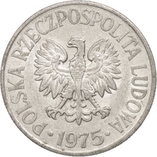 Moneda, Polonia, 50 Groszy, 1975, Warsaw, MBC+, Aluminio, KM:48.1