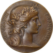 France, Medal, Chambre de Commerce de Rouen, Dupuis.D, AU(55-58), Bronze