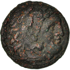 Moneda, Kingdom of Macedonia, Alexander III The Great (336-323 BC), Bronze, MBC