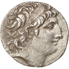 Seleucie, Antiochos VIII, Tetradrachme, An 196, Sidon, TTB+, Houghton:723