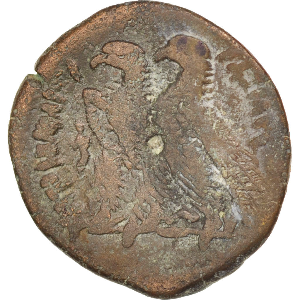 Coin, Egypt, Ptolemy VI (181-145 BC), Bronze, Alexandria, VF(30-35), Bronze