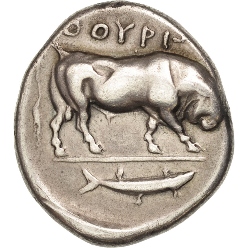 Münze, Lucania, Thourioi, Stater, Thourioi, SS, Silber, SNG ANS:907
