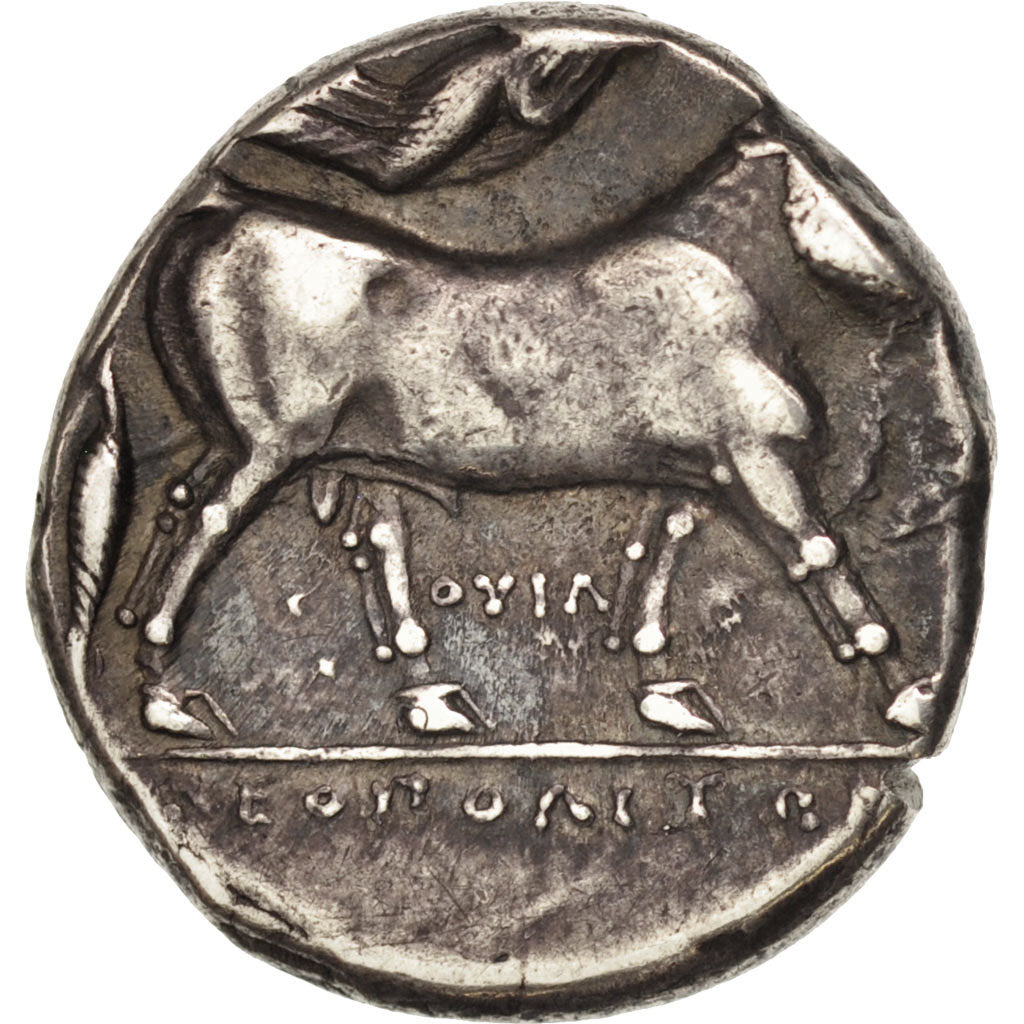Campania, Neapolis, Didrachm, EF(40-45), Silver, SNG ANS:339