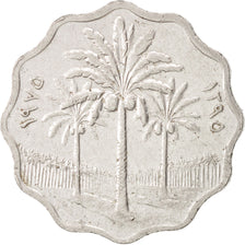 Moneta, Iraq, 5 Fils, 1975, BB, Acciaio inossidabile, KM:125a