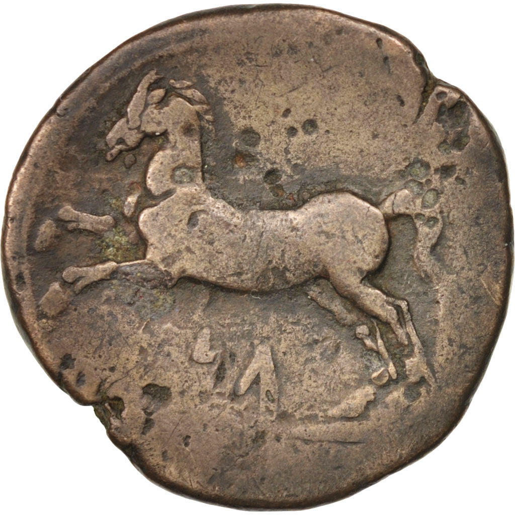 Numidia (Kingdom of), Micipsa, Bronze, VF(20-25), Sear:6596var