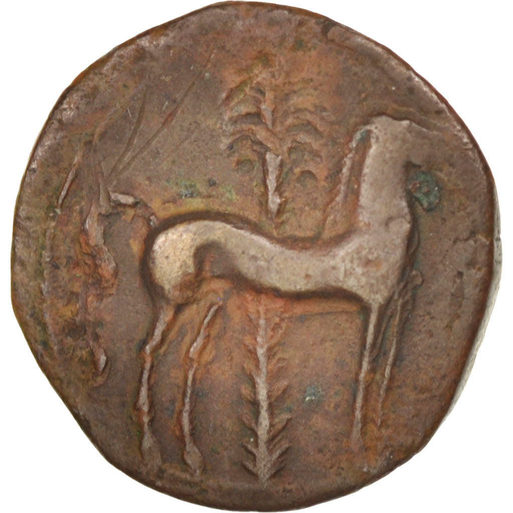 Carthage, Zeugitane, Bronze, AE16, VF(30-35), SNG Cop:109-119