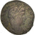 Moneda, Delmatius, Follis, Constantinople, MBC+, Vellón, RIC:141