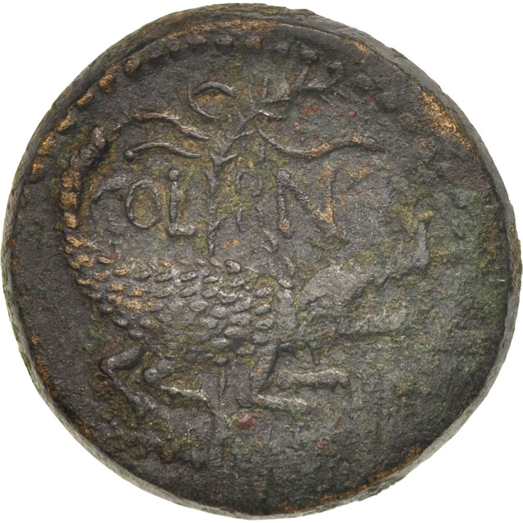 Augustus with Agrippa, Dupondius, 10-14 AD, Nemausus, TTB, Bronze, RIC:157