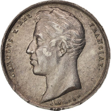 Frankreich, Medal, Charles X, History, 1825, Gayrard, VZ, Silber