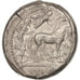 Coin, Sicily, Syracuse, Tetradrachm, EF(40-45), Silver