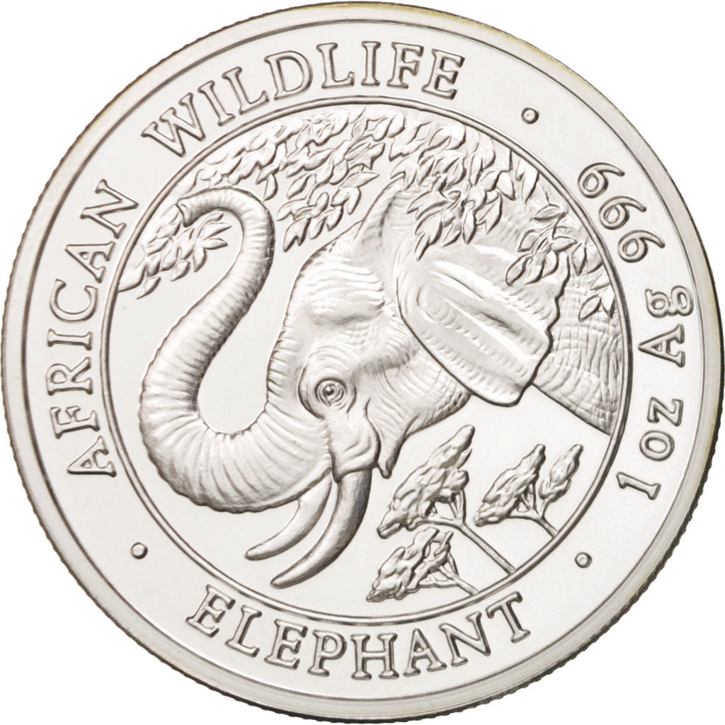 Somalia, 1000 Shillings, Elephant, 2005, MS(65-70), Silver, KM:189