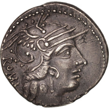 Münze, Calidia, Denarius, Rome, VZ, Silber, Crawford:284/1a