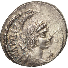 Coin, Plaetoria, Denarius, Rome, MS(60-62), Silver, Crawford:409/1