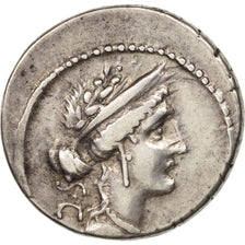 Licinia, Denarius, Rome, SS, Silber, Crawford:430/1
