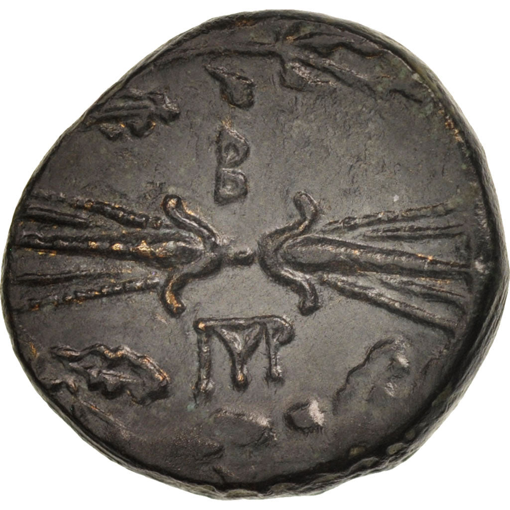 Royaume d'Épire, Pyrrhus, Bronze AE19, TTB+, Bronze, SNG Cop:102