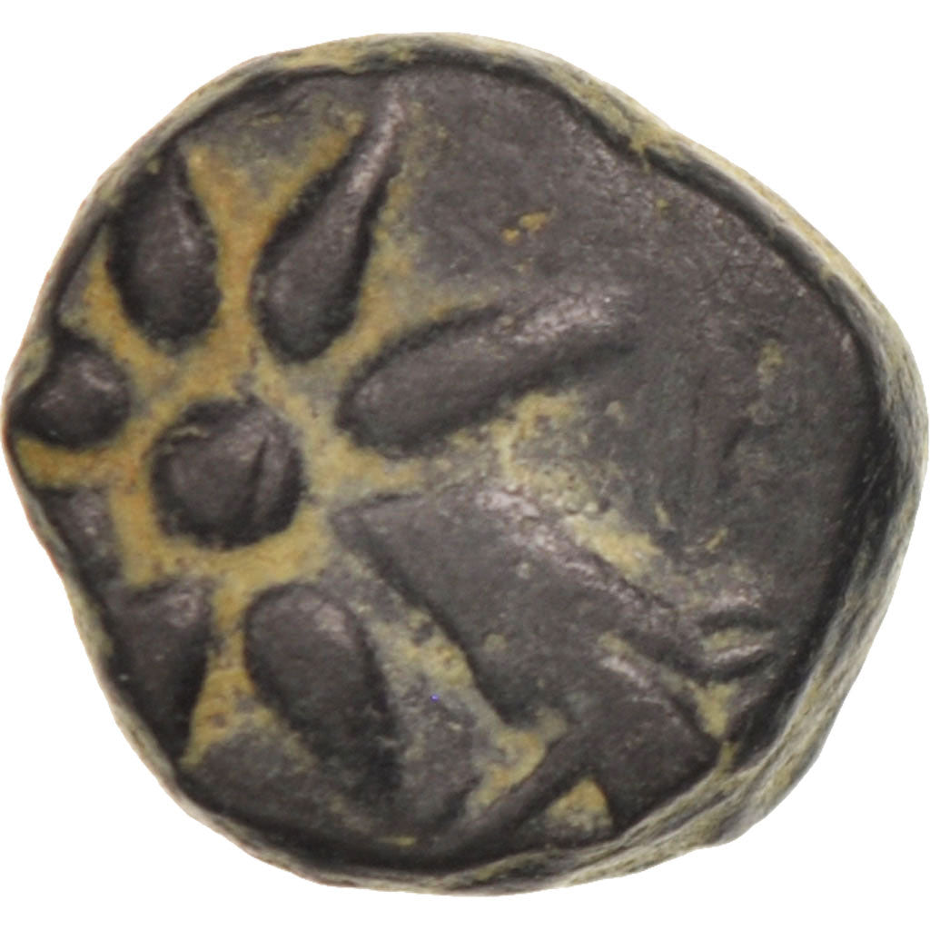 Münze, Pontos, Bronze, SS, Bronze