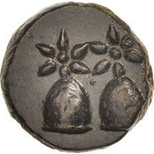 Münze, Kolchis, Dioskourias, Bronze Unit, VZ, Bronze