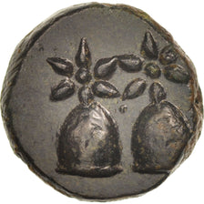 Monnaie, Kolchis, Dioskourias, Bronze Unit, SUP, Bronze