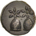 Moneda, Kolchis, Dioskourias, Bronze Unit, EBC, Bronce