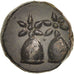 Münze, Kolchis, Dioskourias, Bronze Unit, VZ, Bronze