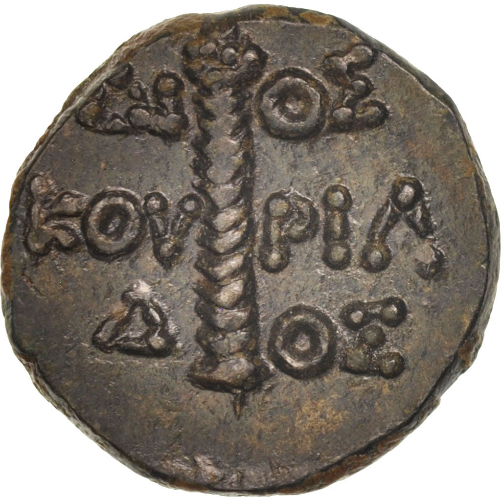 Münze, Kolchis, Dioskourias, Bronze Unit, VZ, Bronze