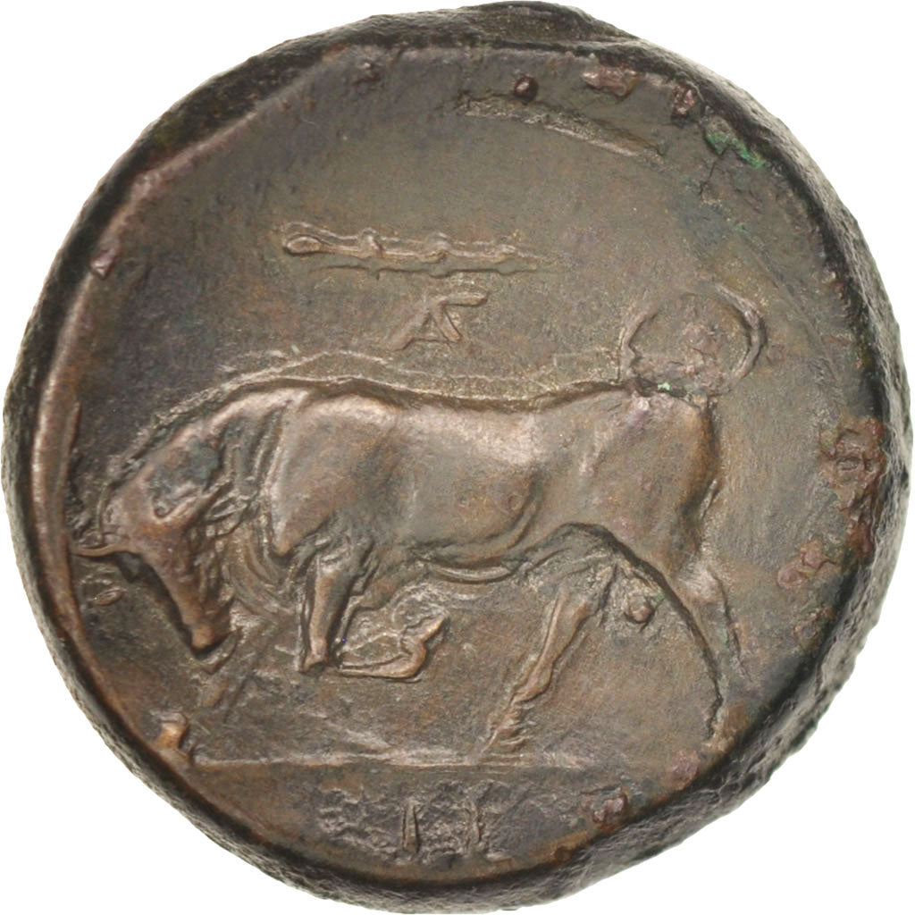 Coin, Sicily, Hieron II (274-216 BC), Bronze, Syracuse, AU(50-53), Bronze, SNG