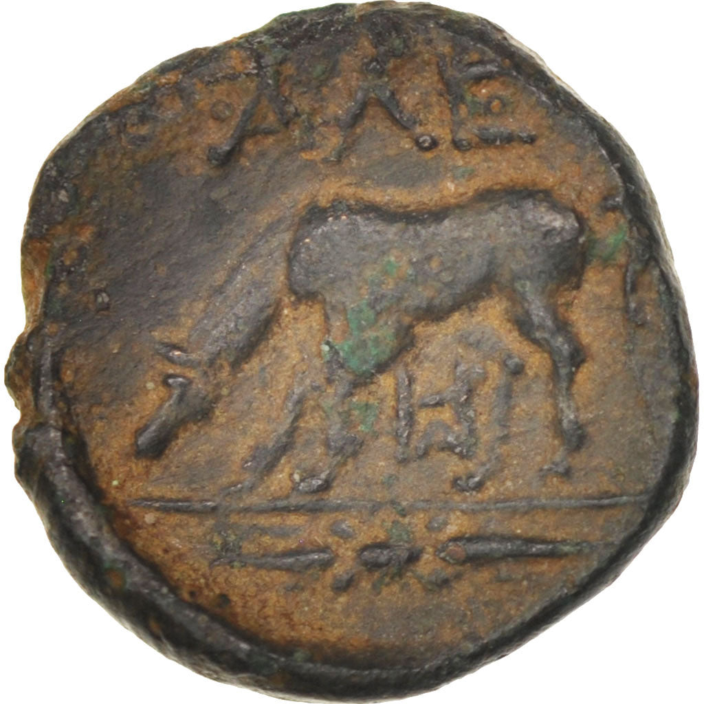 Coin, Troas, Bronze, EF(40-45), Bronze