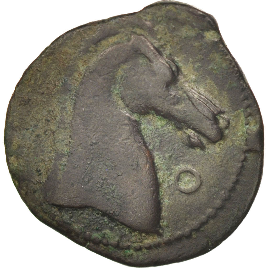 Carthage, Zeugitane, Shekel, SS, Bronze, SNG Cop:151