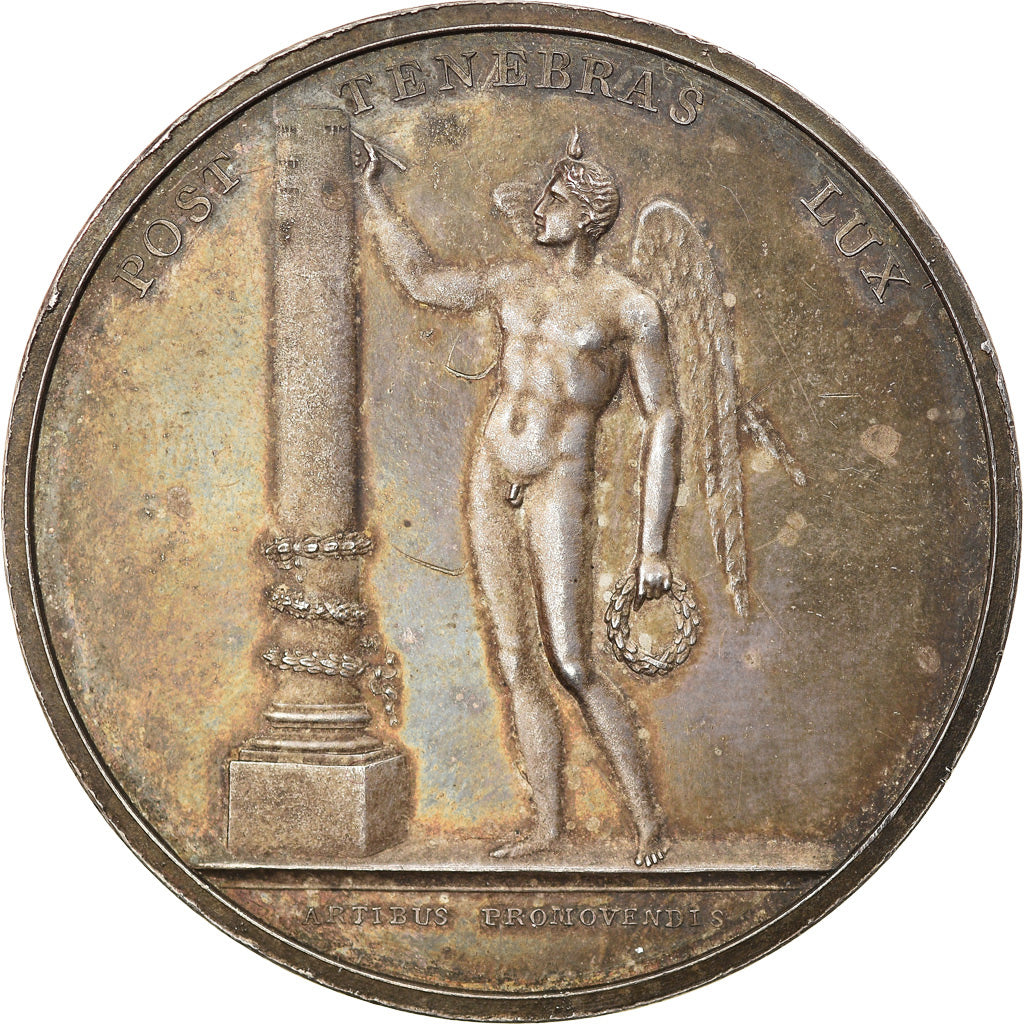 Switzerland, Medal, Société des Arts de Genève, Arts & Culture, MS(60-62)
