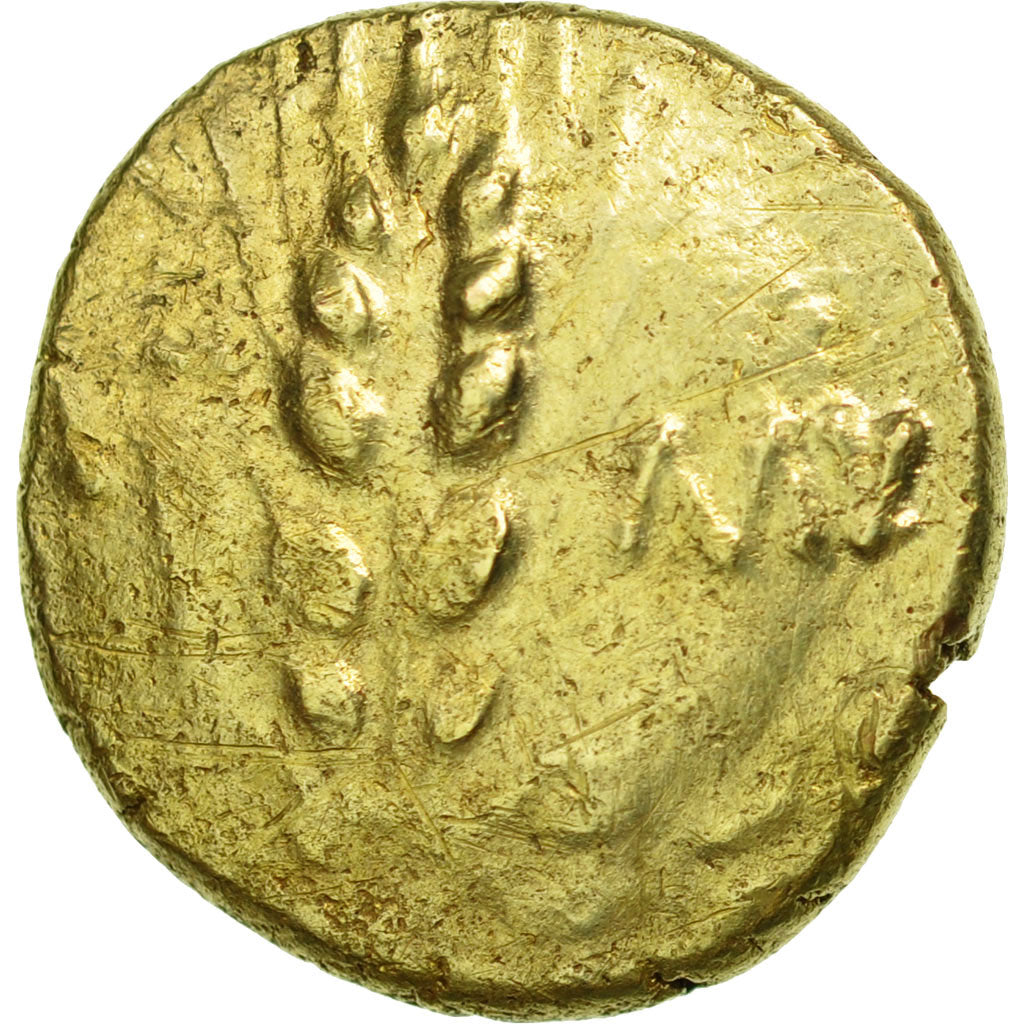 Trinovantes, Cunobelin, Stater, Colchester, EF(40-45), Gold, ABC:2795