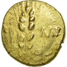 Trinovantes, Cunobelin, Stater, Colchester, EF(40-45), Gold, ABC:2795