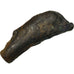 Coin, Sarmatia, Olbia, Dolphin, Olbia, VF(20-25), Bronze