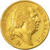 France, Louis XVIII, 20 Francs, 1824, Paris, EF(40-45), Gold, KM:712.1