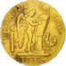 Coin, France, 24 livres Convention, 24 Livres, 1793, Paris, EF(40-45), Gold