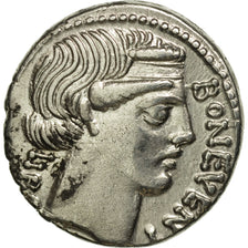Scribonia, Denarius, Rome, EF(40-45), Silver, Crawford:416/1a