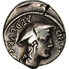 Plancia, Denarius, Rome, BB, Argento, Crawford:432/1
