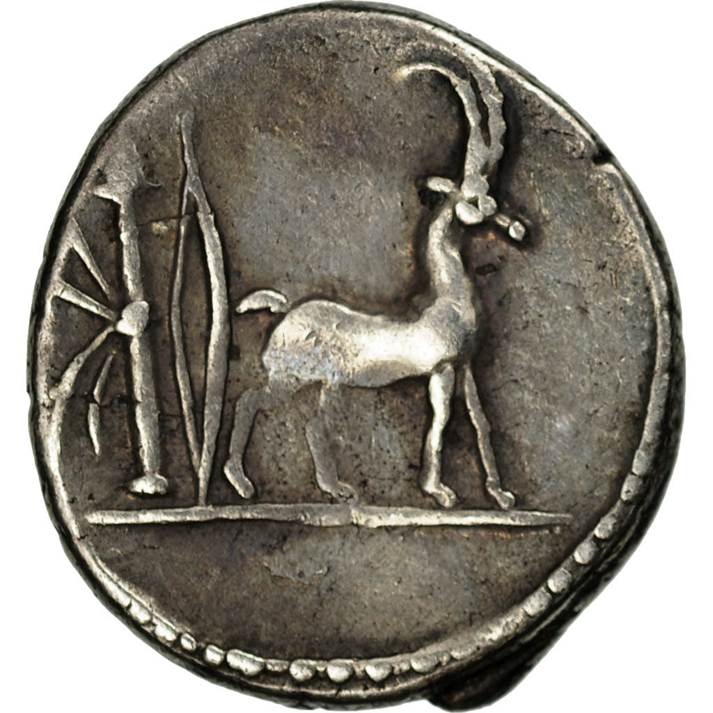 Plancia, Denarius, Rome, EF(40-45), Silver, Crawford:432/1